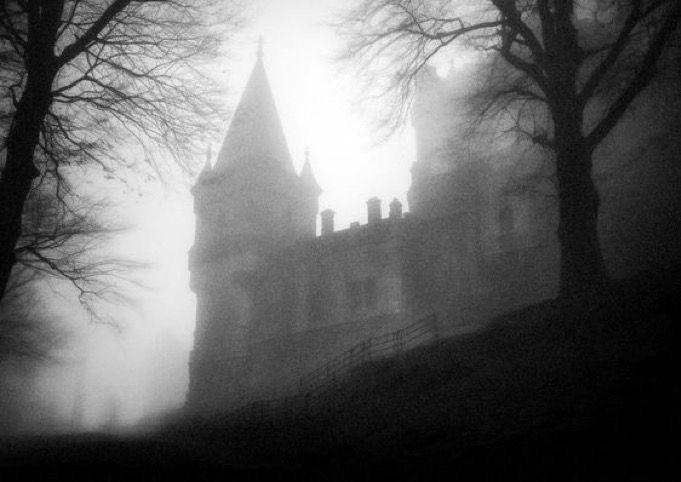 Castle in the fog