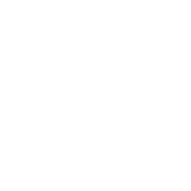 leafiikyu's strawpage