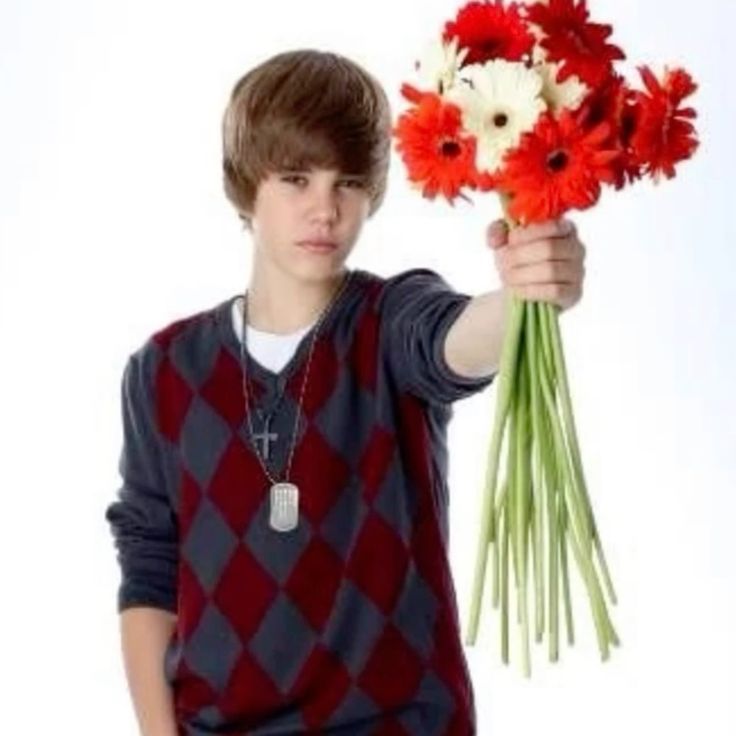 dipperpineslover's strawpage